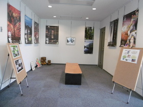 展示の様子(すべての都市)