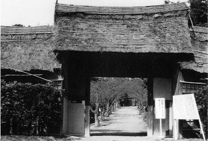 大倉公園(桃山町)