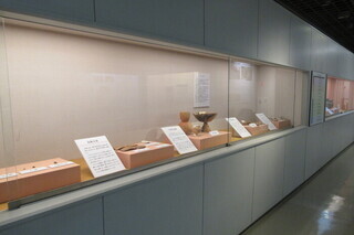 埋蔵文化財の展示の様子