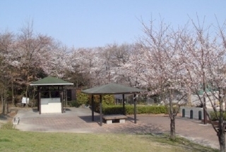 二ツ池公園(デイキャンプ場)