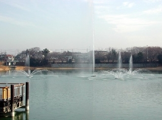 二ツ池公園(噴水)
