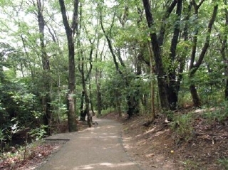 二ツ池公園(散策の森)
