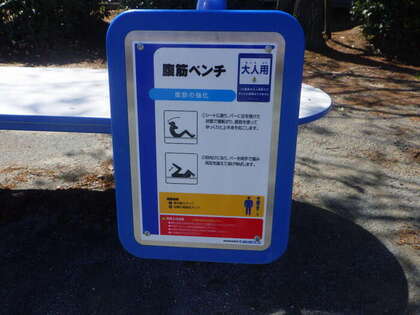 腹筋・背筋ベンチ（使用）