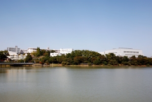 写真:池側からの至学館大学