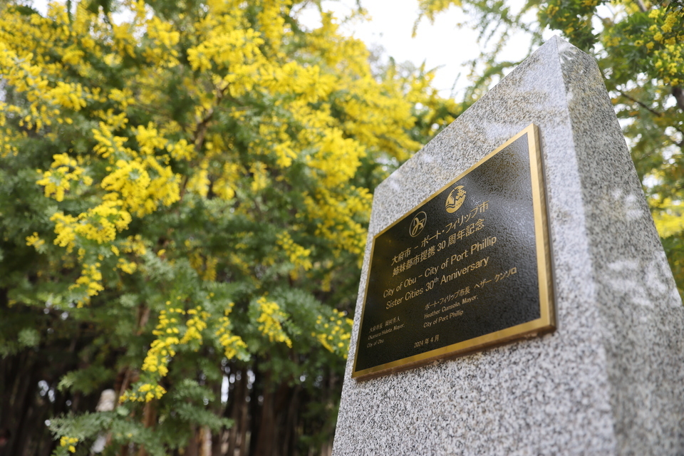 大府みどり公園のミモザ