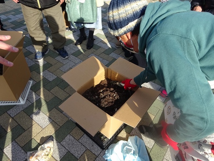 ダンボールコンポスト