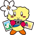 おぶちゃんイラスト(カメラ)