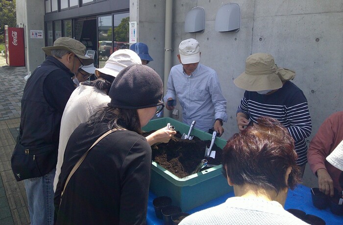 種植えをする様子