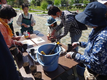 緑のカーテン講座のイメージ