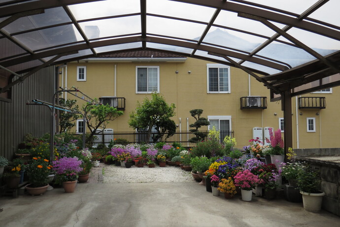 一般(家庭緑花)の部/秦幸江さんのガーデン(共和町)