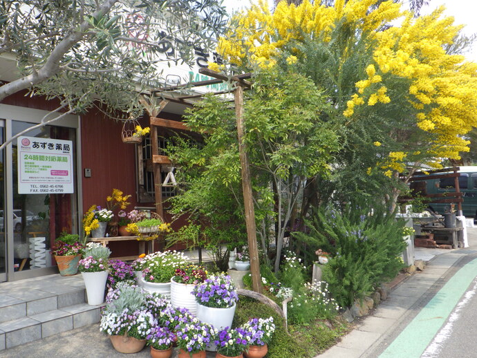 マスター(共同花壇)の部/いまむらクリニック・あずき薬局(共和町)