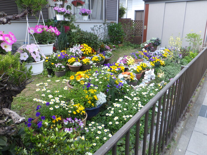 一般(家庭緑花)の部/鈴口かずよさんのガーデン(森岡町)