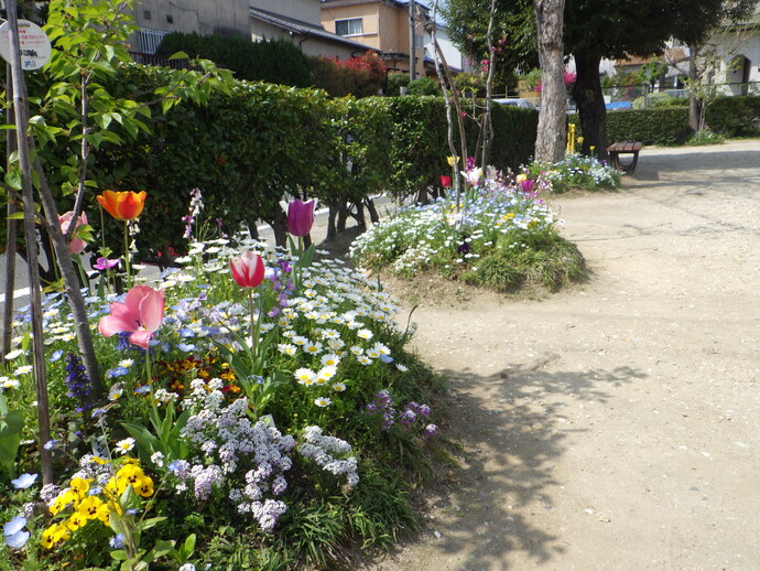 一般(共同花壇)の部/梶田1ちびっこ広場の会(梶田町)