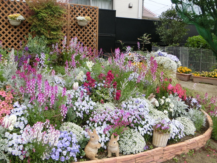 マスター(共同花壇)の部/保育園さくらんぼ(若草町)