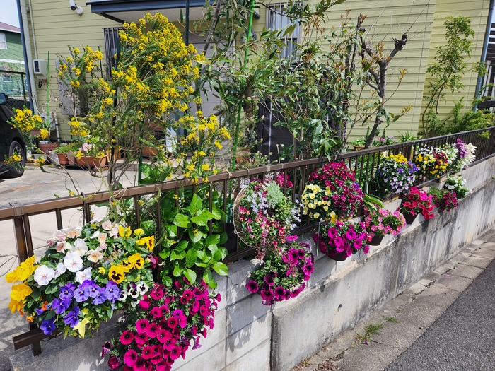 一般（家庭緑花）の部／美馬由香利さんのガーデン
