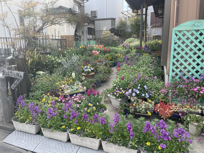 マスター（家庭緑花）の部／中村多賀子さんのガーデン