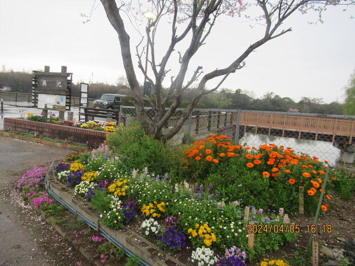マスター（共同花壇）の部／アダプト吉田のガーデン