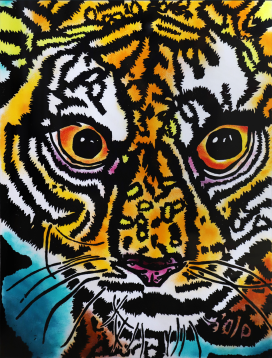 獲物を見つけるスマトラトラ