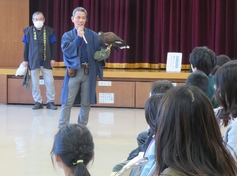 鷹のアニマルセラピー