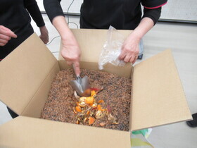 コンポストの中