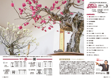 02-03目次・数字で見るおおぶ・今月のおおぶスタイル・市長の一言 