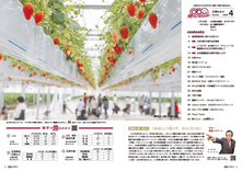 02-03目次・数字で見るおおぶ・今月のおおぶスタイル・市長の一言