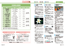28-29情報パック