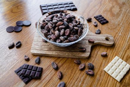 チョコレートとカカオの写真