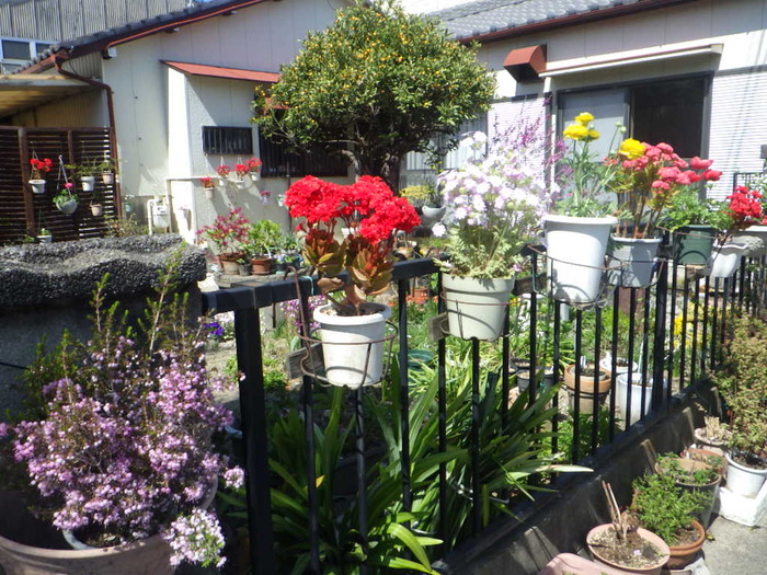 一般（家庭緑花）の部／美馬由香利さんのガーデン