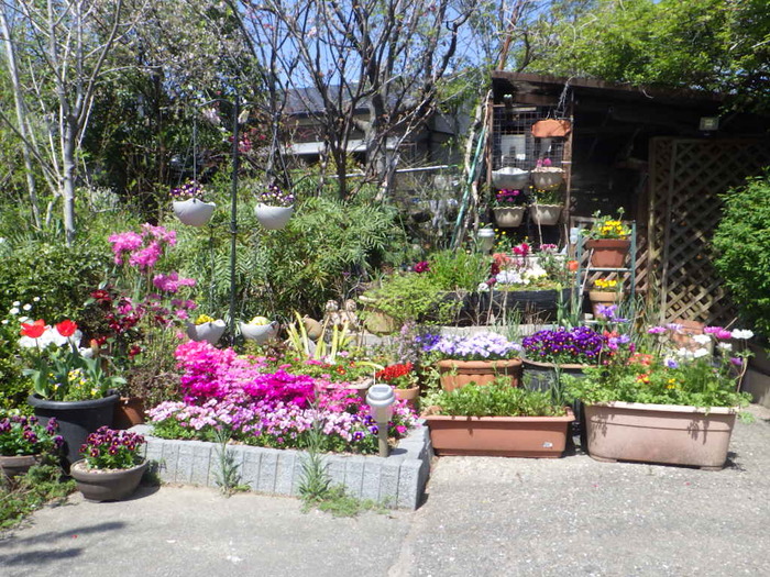 マスター（家庭緑花）の部／秦幸江さんのガーデン