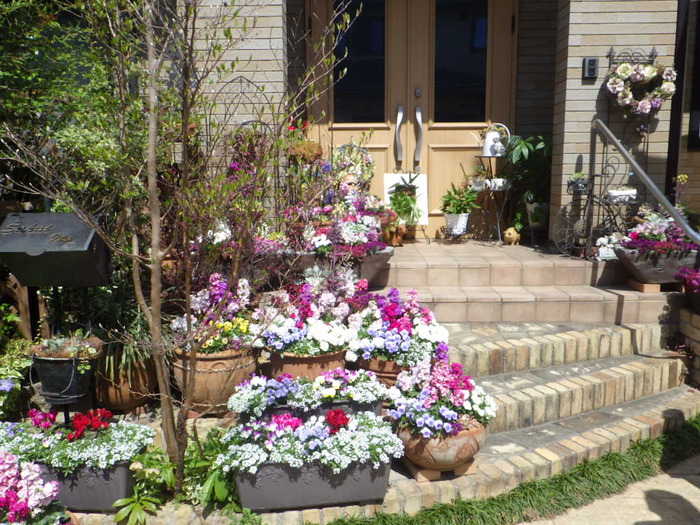 マスター（家庭緑花）の部／中村多賀子さんのガーデン