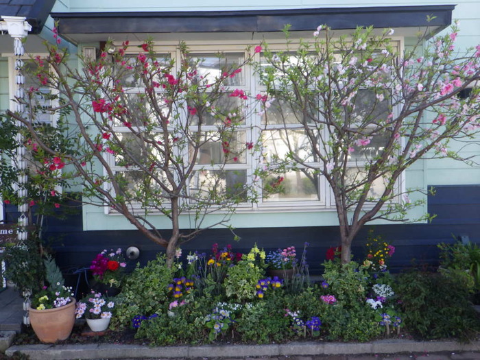 マスター（共同花壇）の部／名南製作所のガーデン