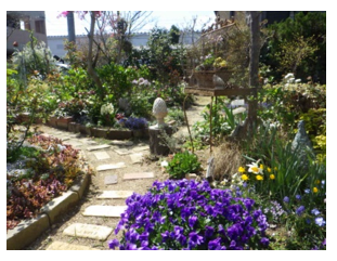 家庭緑花の部最優秀賞の画像