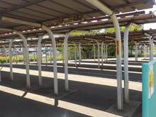 5月の状況（屋根あり）