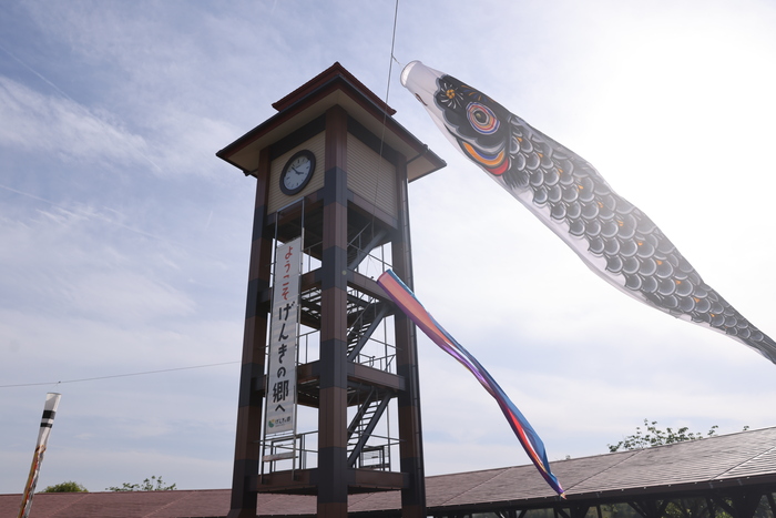 こいのぼりの写真