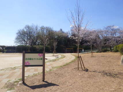 写真：吉田園址さくら公園