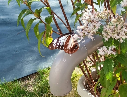 追分町二丁目地内