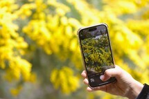 春が訪れました